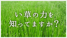 い草の力を知っていますか？