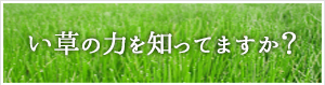 い草の力を知っていますか？