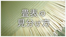 畳表の見分け方